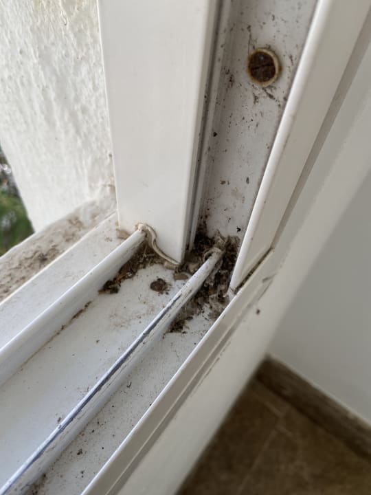 Zimmer Alcudia Garden Aparthotel