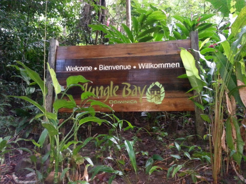 Einfahrt Hotel Jungle Bay Resort & Spa