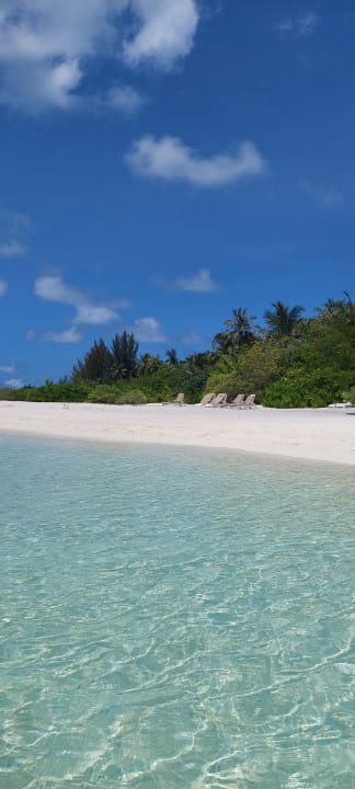 Strand Summer Island Maldives