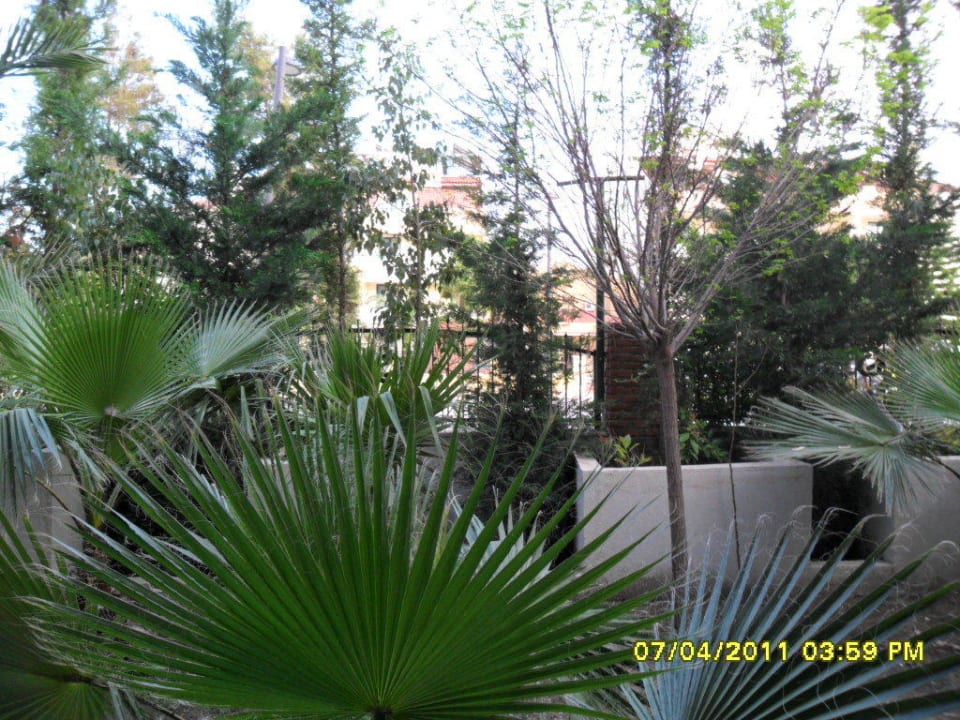 Ausblick Balkon Erdgeschoss Hotel Sultan of Side