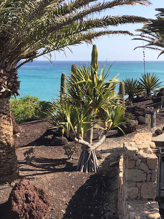 Gartenanlage R2 Pajara Beach