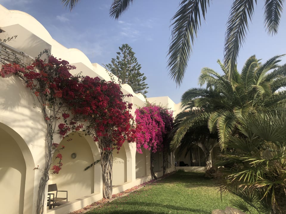 Gartenanlage TUI MAGIC LIFE Penelope Beach