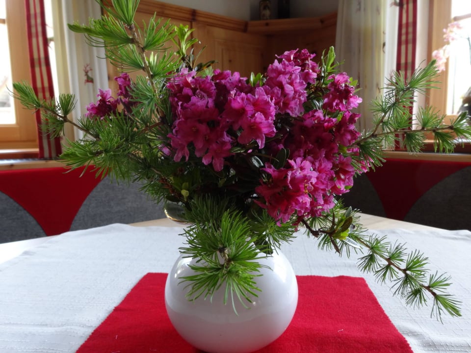 Almrausch-Bauernstube Linharterhof Urlaub am Bauernhof