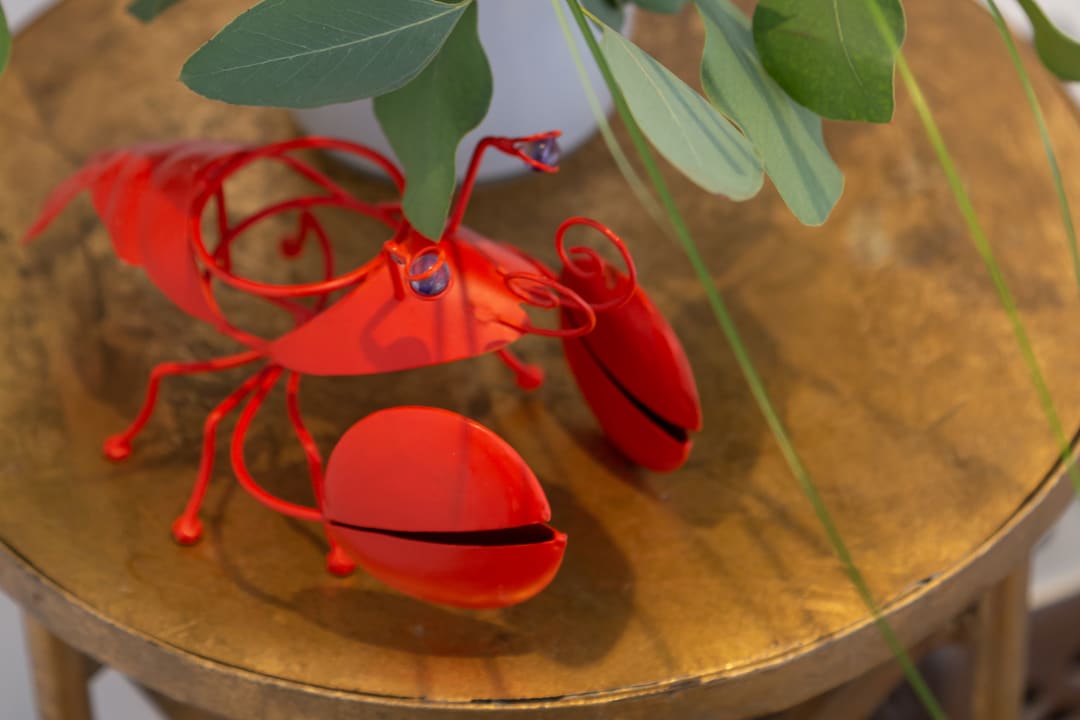 Zimmer Hotel Colette Cannes Centre