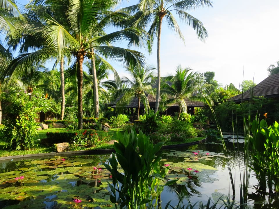 Gartenanlage Bo Phut Resort & Spa