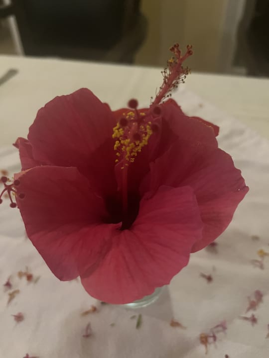 Gastro Mahdia Beach & Aquapark