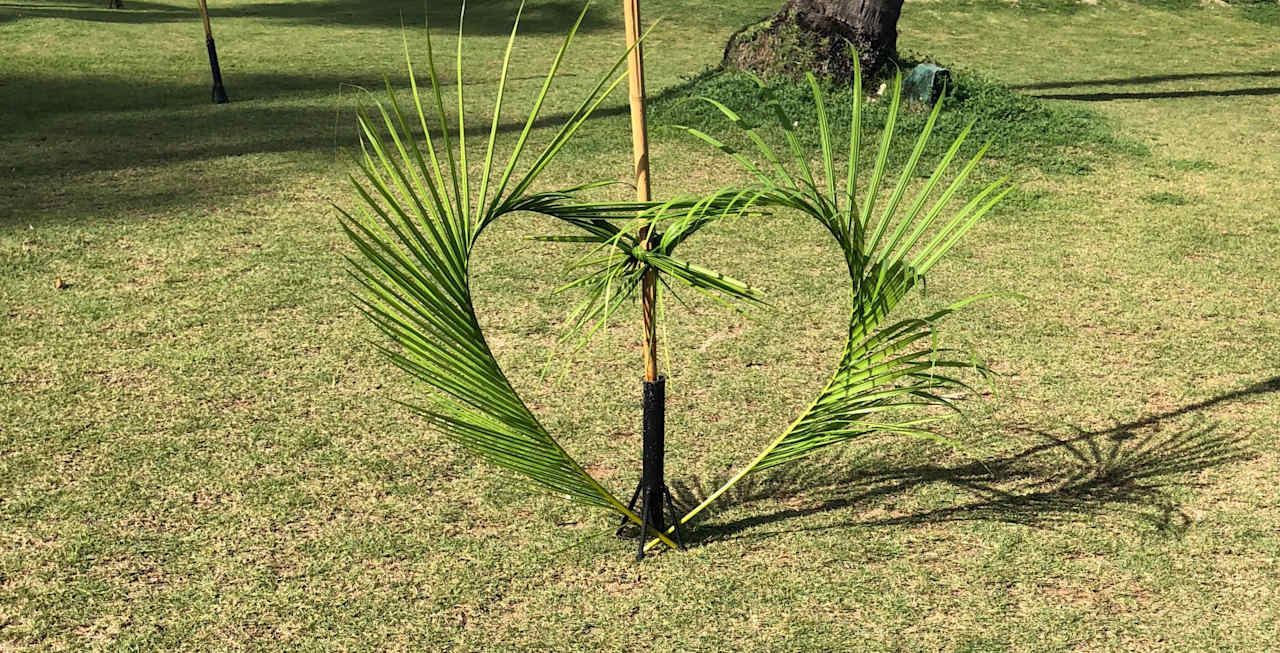 Gartenanlage Wyndham Alltra Samana
