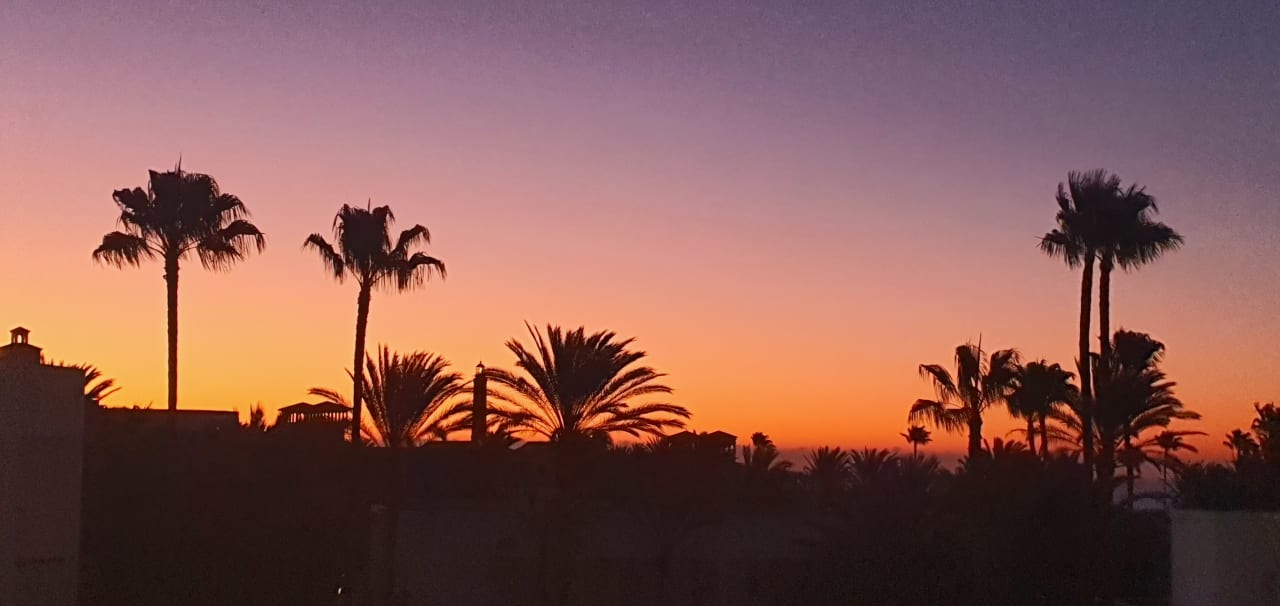 Ausblick Hotel Riu Gran Canaria