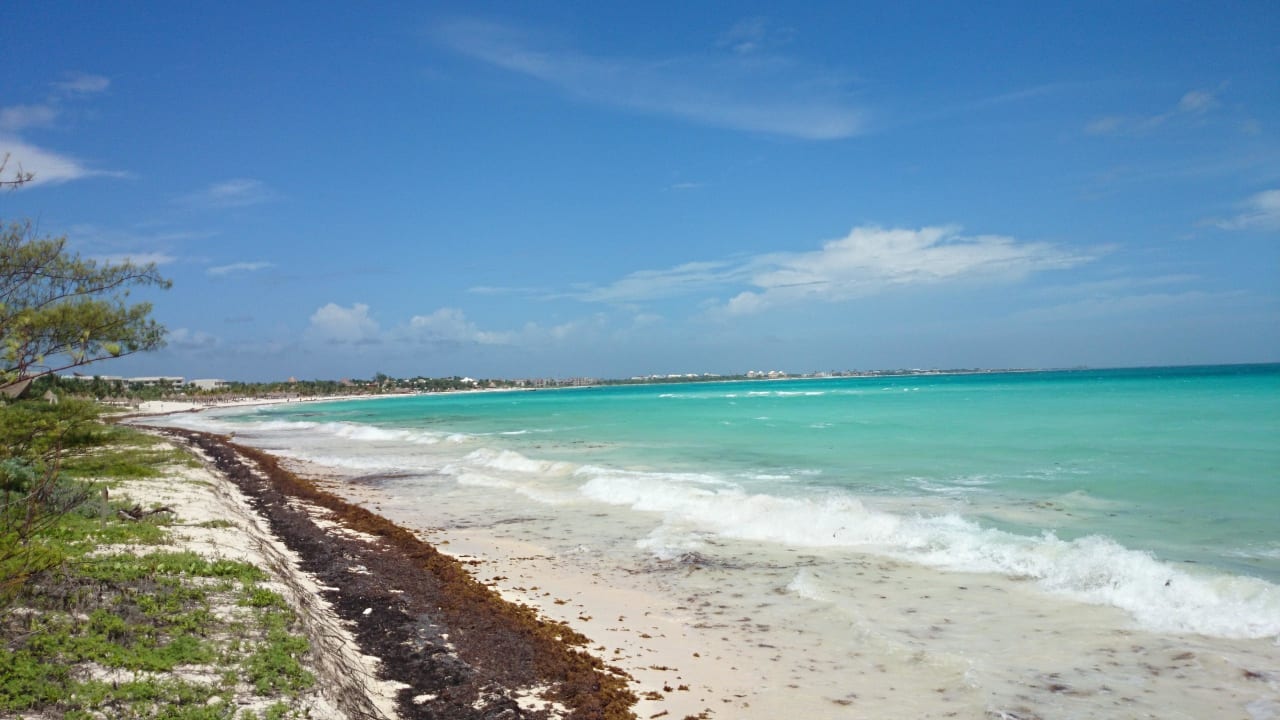 Strandspaziergang Catalonia Playa Maroma