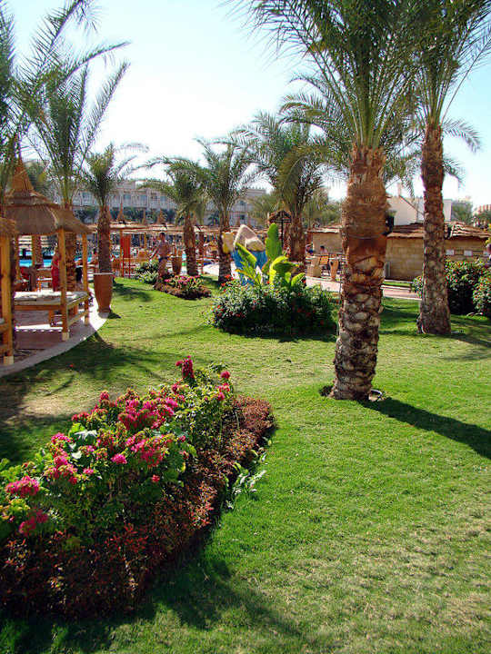 Сквер Pickalbatros Palace Resort