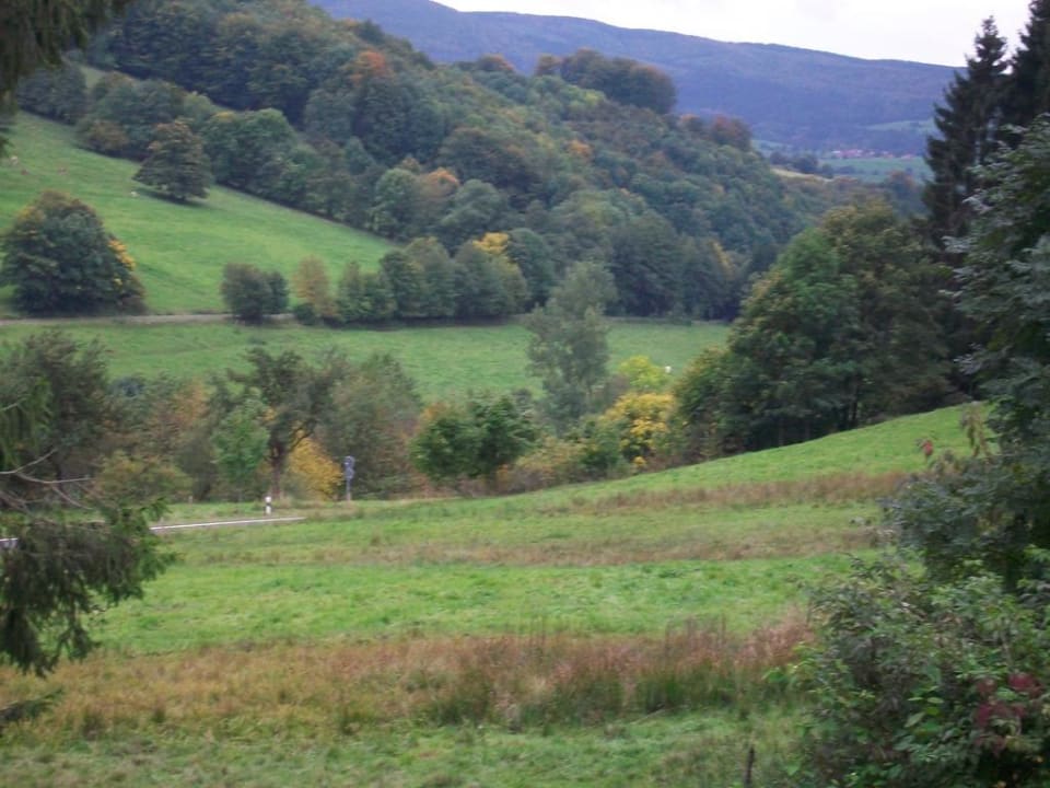 Ausblick vom Balkon in die Rhön Hotel Berghof Wasserkuppe