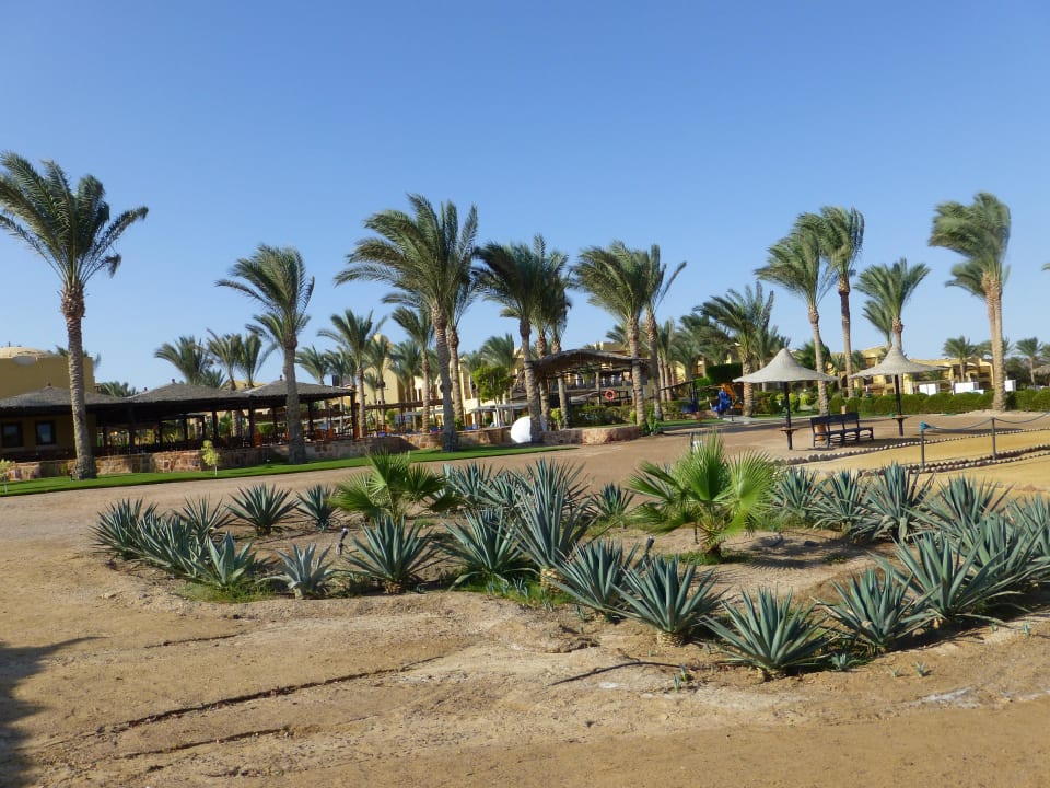 Blick vom Strand Jaz Dar EL Madina