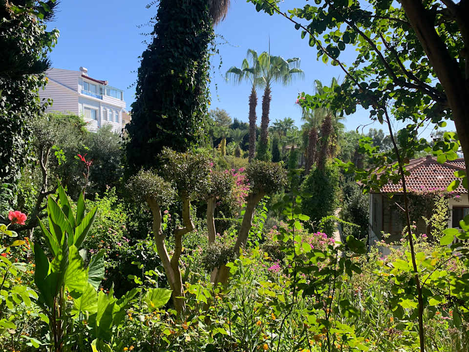 Gartenanlage Hotel Defne Dream