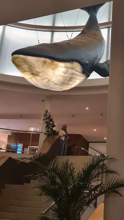 Lobby Iberostar Waves Gaviotas Park