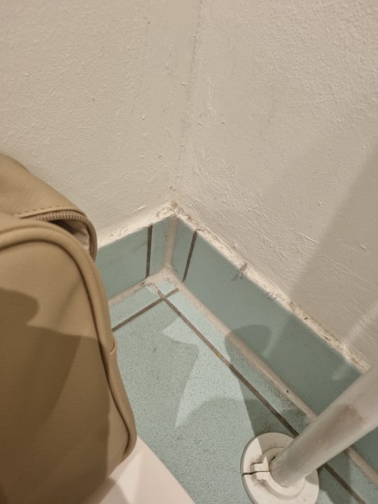 Zimmer AHORN Hotel Am Fichtelberg