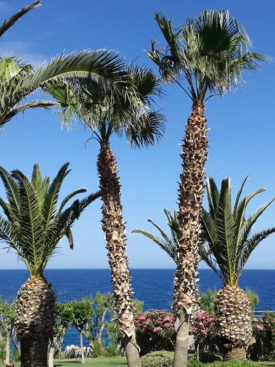 Gartenanlage Iberostar Waves Creta Panorama & Mare