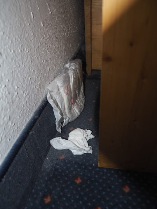 Zimmer Panoramic - Ihr Apartmenthotel im Harz