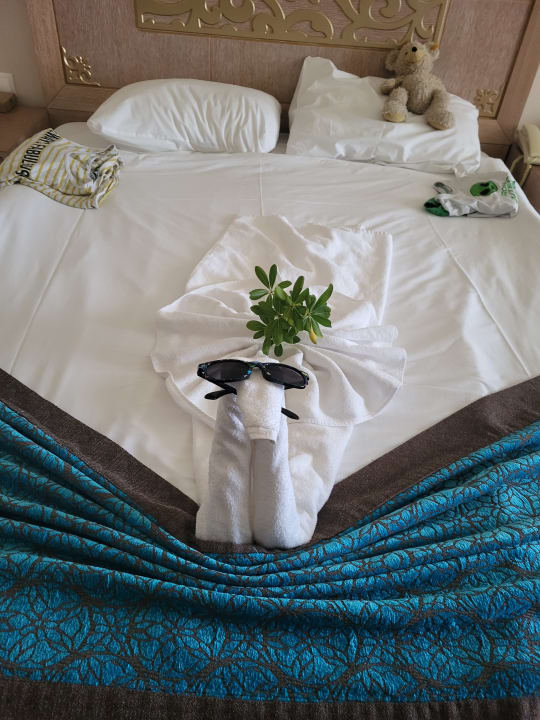 Zimmer Crystal Family Comfort Collection