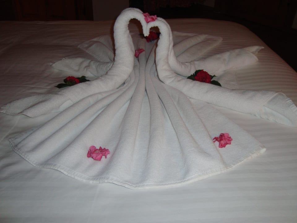 Verliebte Schwäne Montana Pine Resort