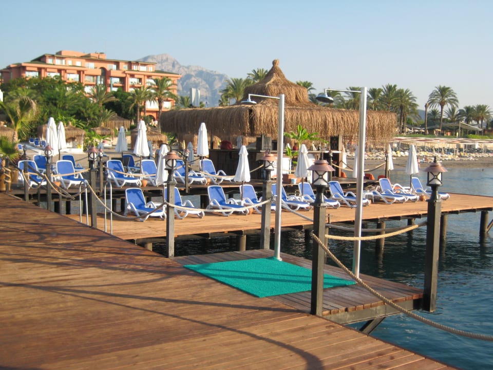 2014 Emelda Sun Club