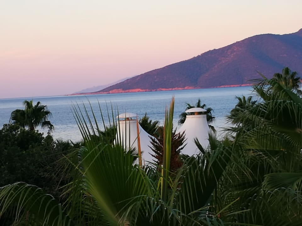 Ausblick Latanya Park Resort