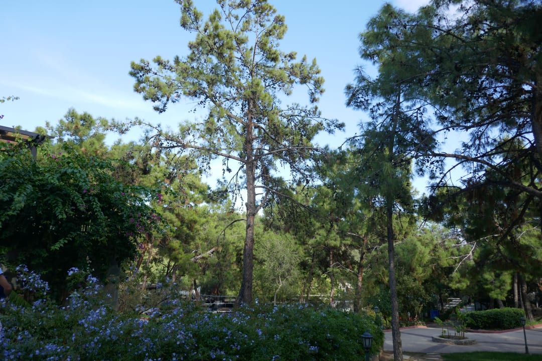 Sonstiges Bodrum Park Resort