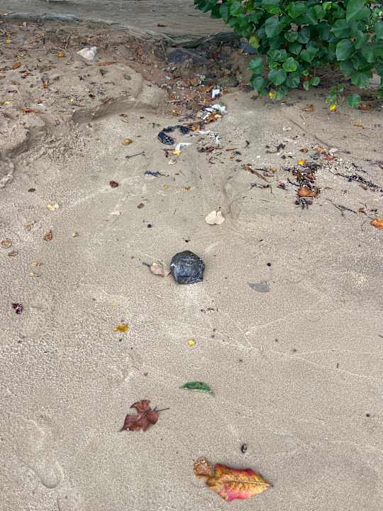 Strand Island Escape Burasari