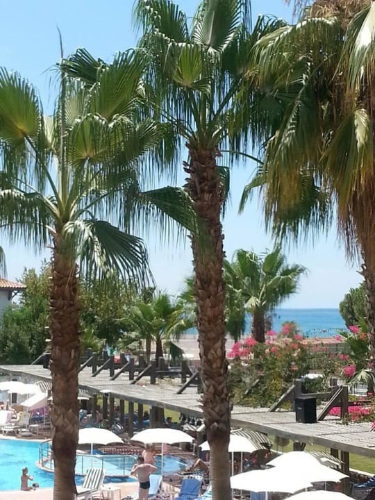 Pool Trendy Palm Beach (Adults Only, 16+)