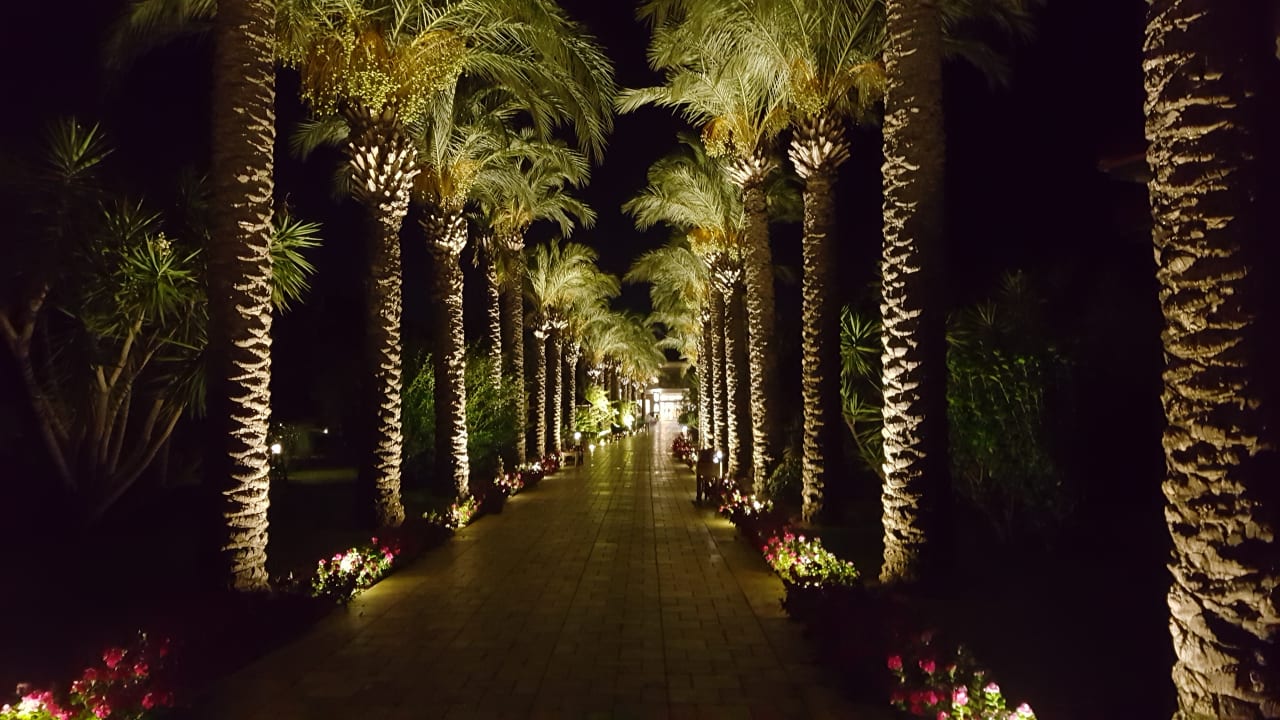 Gartenanlage TUI BLUE Palm Garden