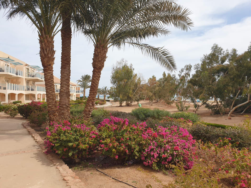 Außenansicht Mövenpick Resort & Spa El Gouna
