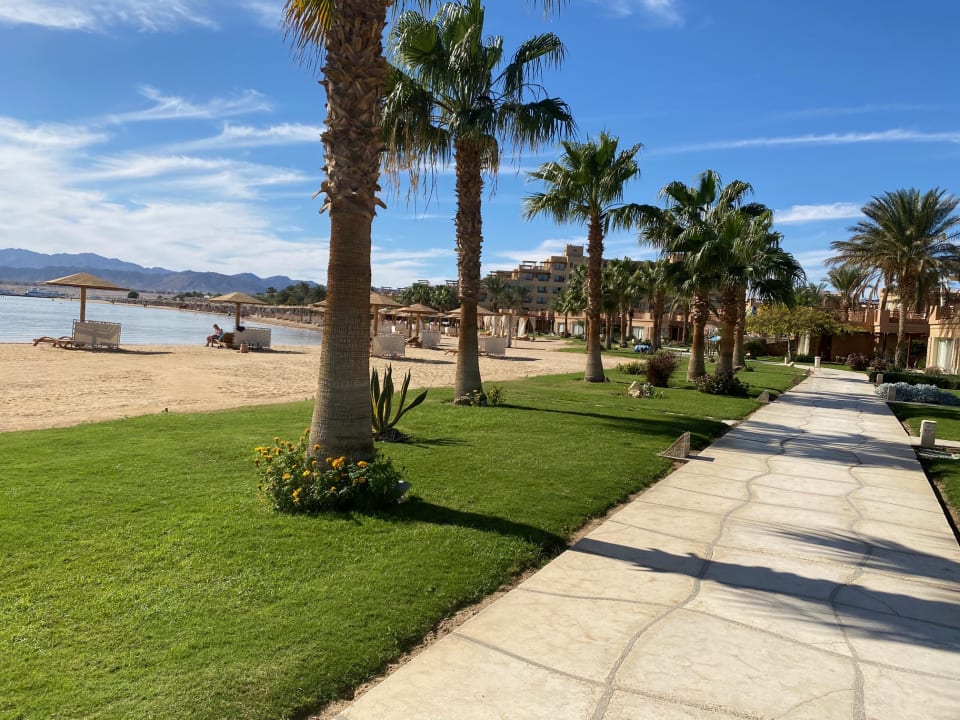 Strand Shams Prestige Abu Soma-Adults Only