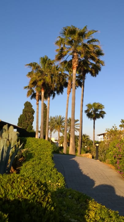Gartenanlage Blau Colònia Sant Jordi