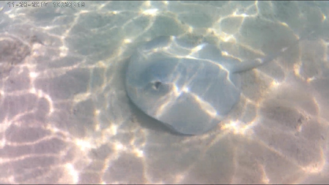 Strand Akumal Bay Beach & Wellness Resort