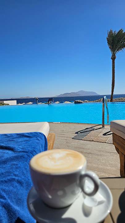 Pool Pickalbatros Palace Resort