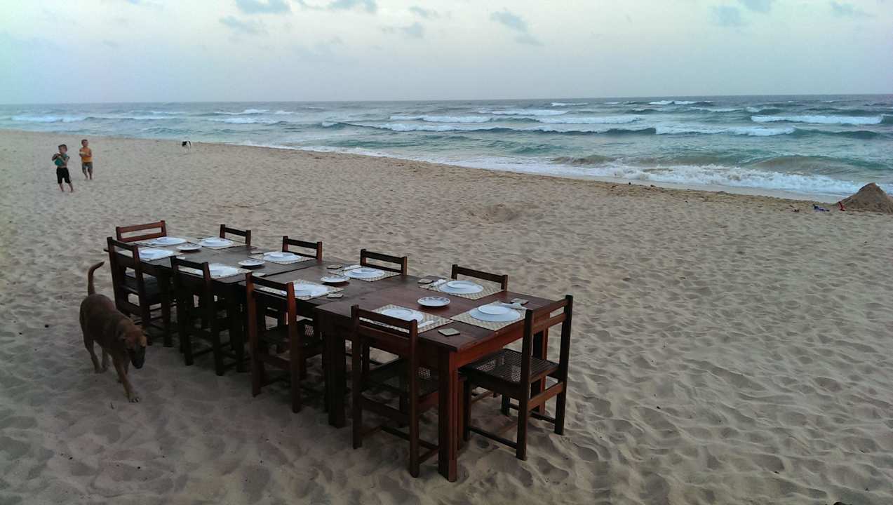 Barbecue am Strand 17.50 Hotel Haus am Meer Wilde Ananas