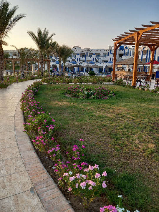 Gartenanlage Coral Sun Beach