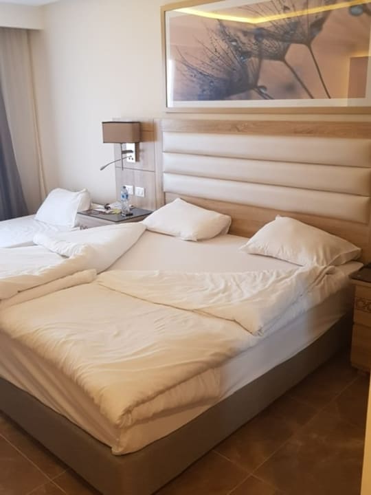 Zimmer Beach Albatros Resort