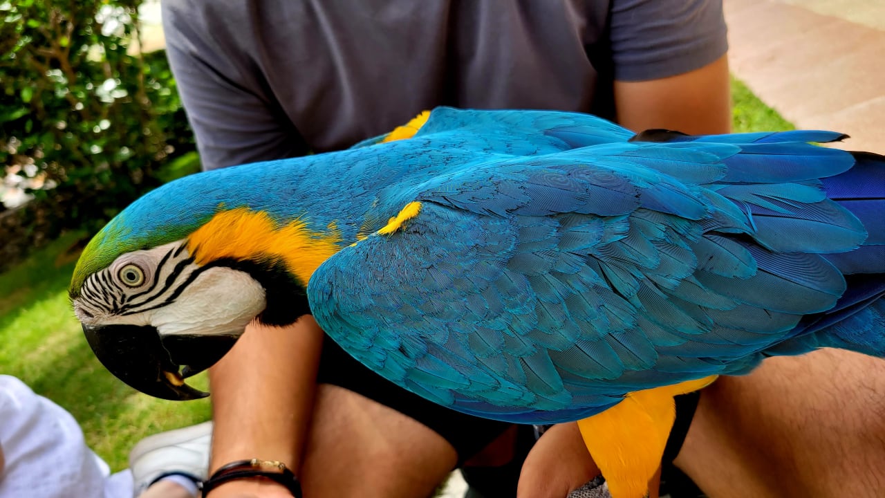 Gartenanlage Belek Beach Resort Hotel