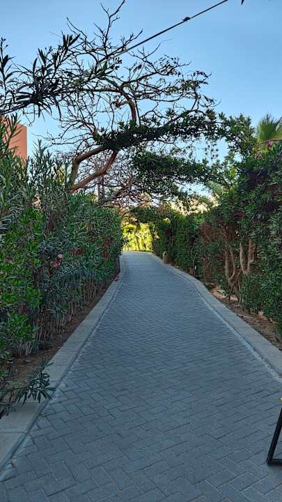 Außenansicht Jaz Makadi Oasis Resort