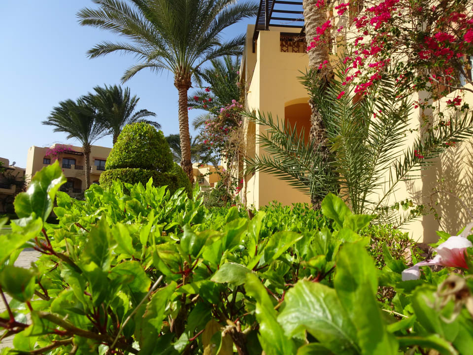 Gartenanlage Steigenberger Coraya Beach - Adults only