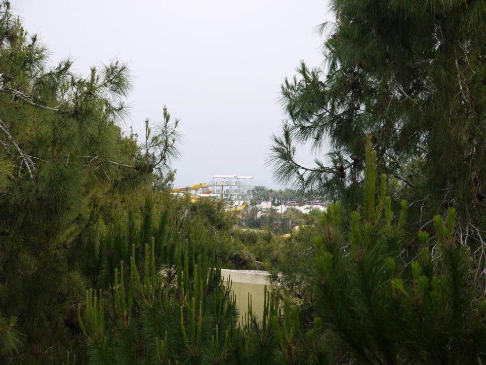 Ausblick vom Hotelzimmer Blue Waters Club