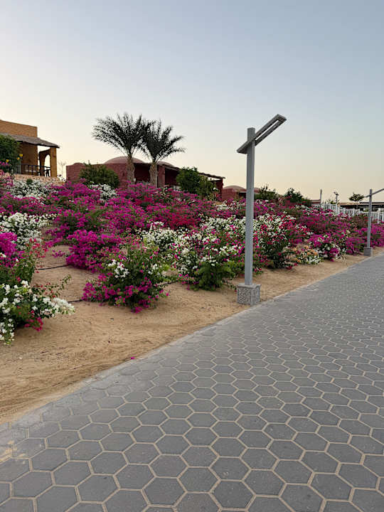 Gartenanlage Pickalbatros Villaggio Resort - Portofino