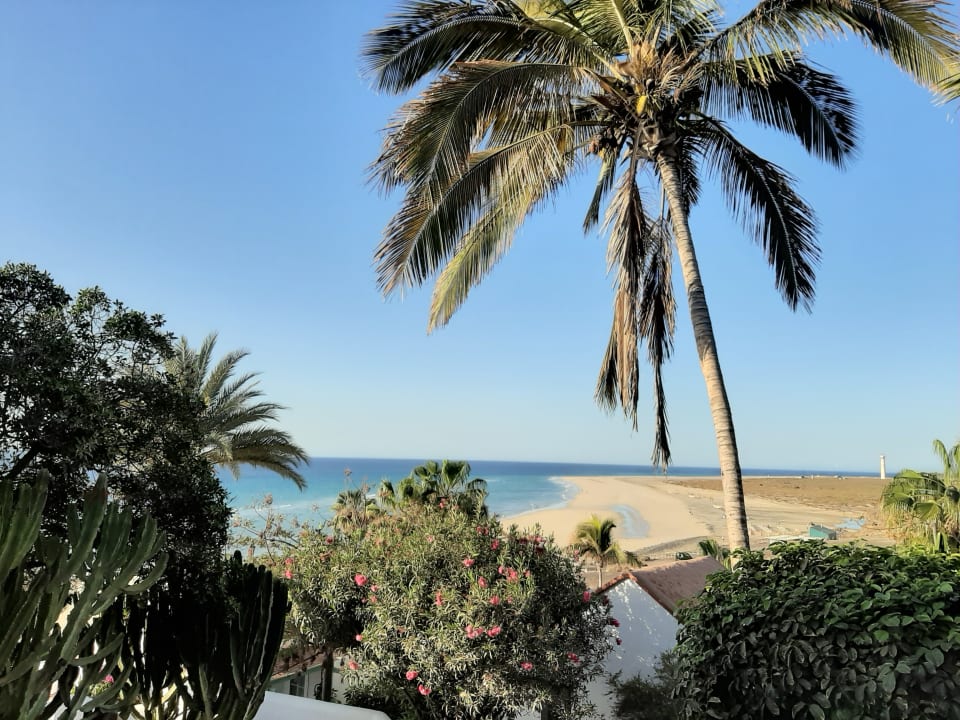 Ausblick Aldiana Club Fuerteventura