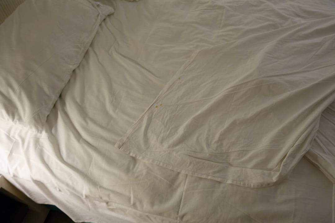 Zimmer Catalonia Royal La Romana - Adults only