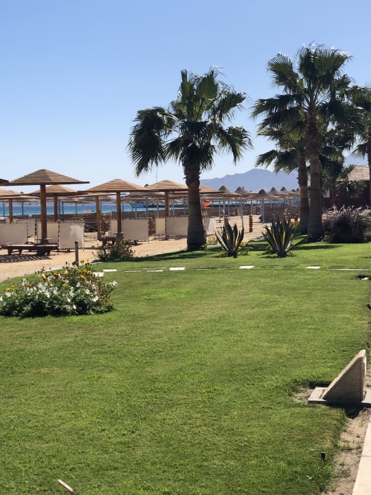 Außenansicht Shams Prestige Abu Soma-Adults Only