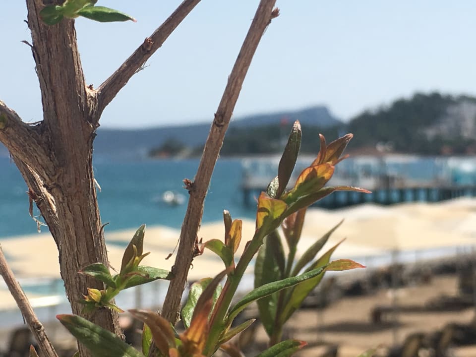 Sonstiges Sherwood Exclusive Kemer