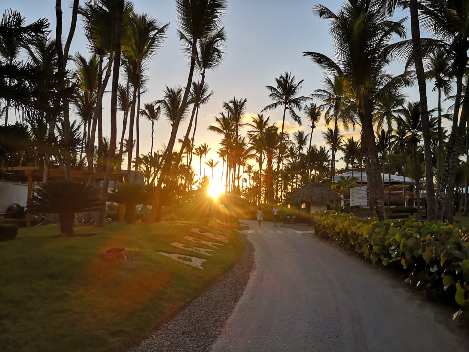 Gartenanlage Grand Palladium Select Bávaro Resort & Spa