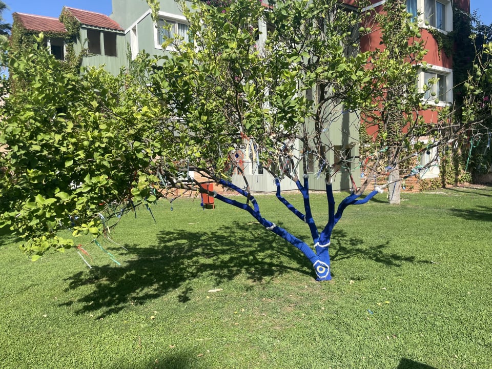 Gartenanlage Megasaray Club Belek