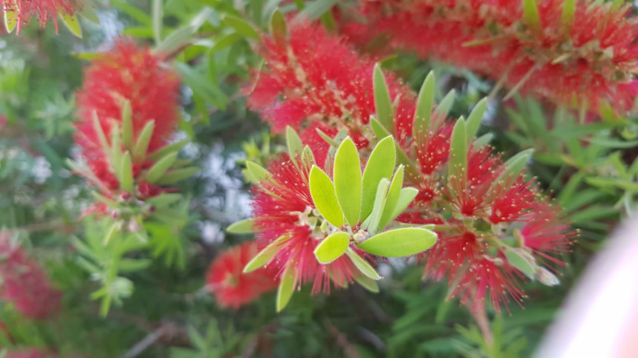 Ausblick Summer Village of Hippokrates - Adults only