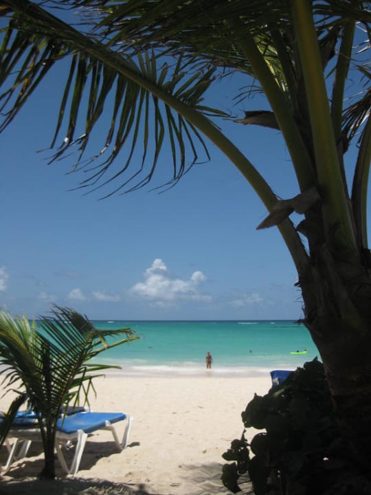 Aussicht von der Liege Grand Palladium Select Bávaro Resort & Spa